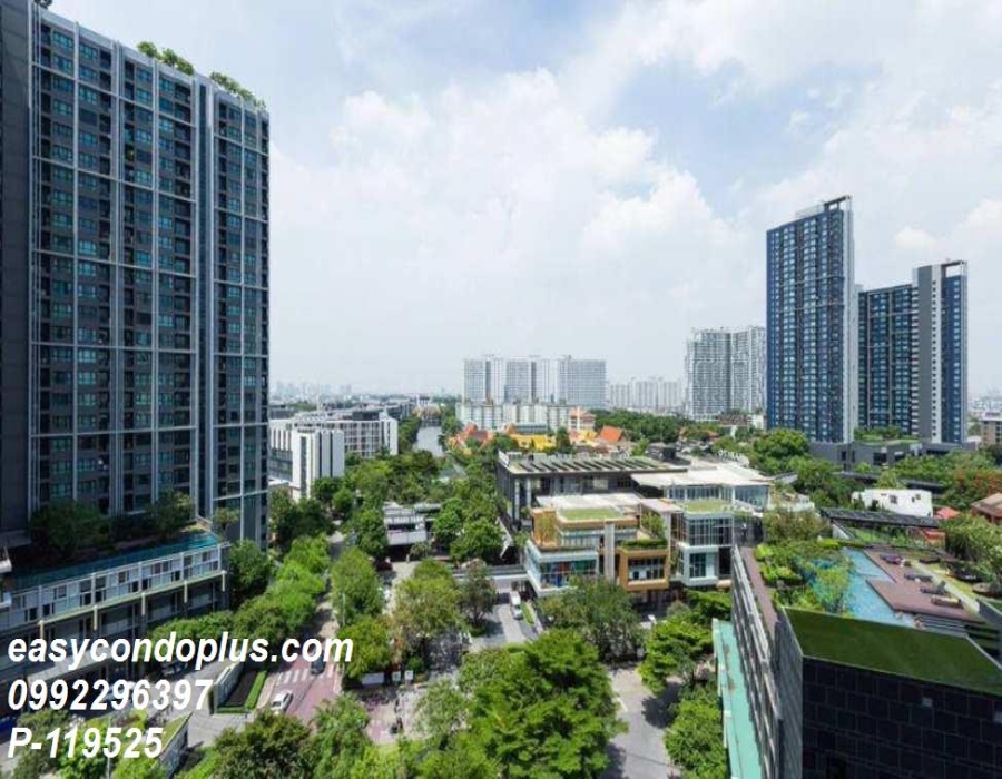 1 Bedroom Bedrooms, ,1 BathroomBathrooms,1 ห้องนอน,ขาย,11416