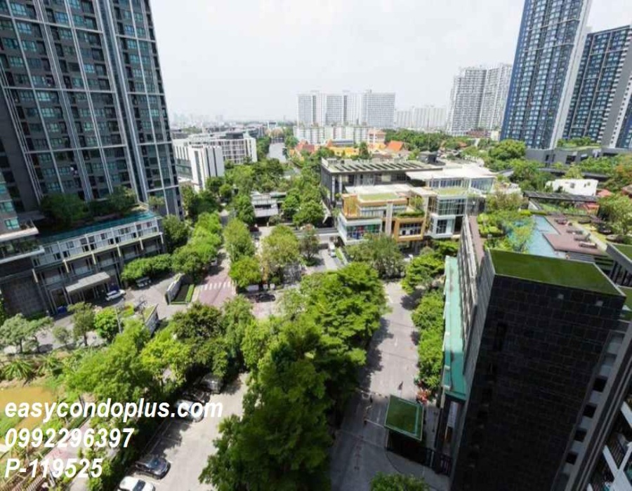 1 Bedroom Bedrooms, ,1 BathroomBathrooms,1 ห้องนอน,ขาย,11416