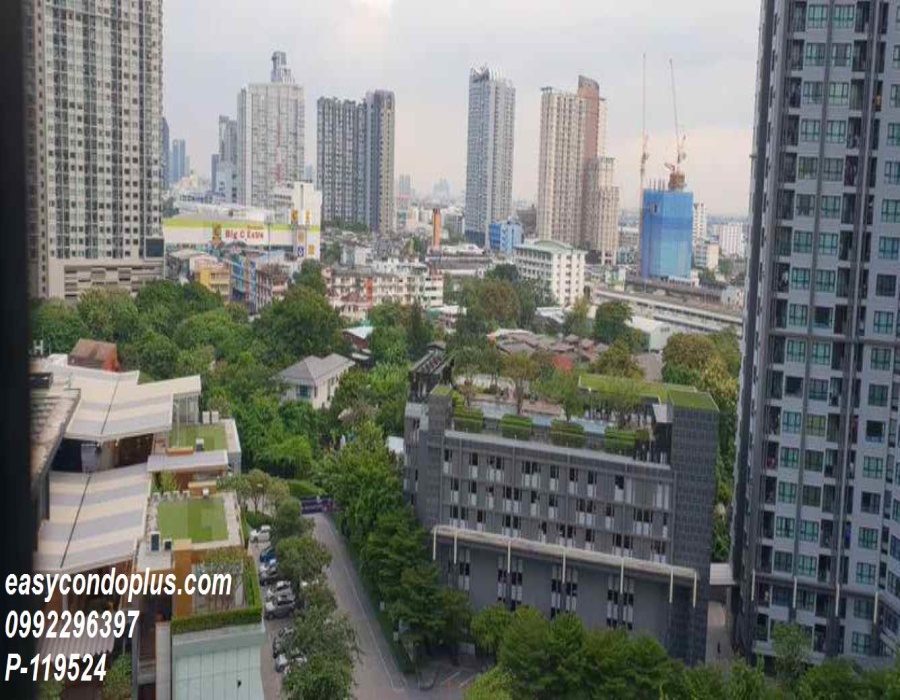 1 Bedroom Bedrooms, ,1 BathroomBathrooms,1 ห้องนอน,ขาย,11420