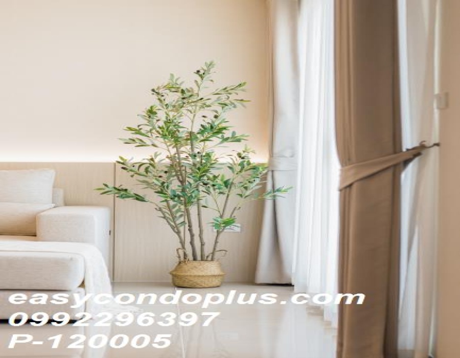3 Bedrooms Bedrooms, ,4 BathroomsBathrooms,ดูเพล็ก (duplex),เช่า,11934