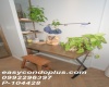 1 Bedroom Bedrooms, ,1 BathroomBathrooms,1 ห้องนอน,ขาย,11959