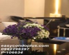1 Bedroom Bedrooms, ,1 BathroomBathrooms,1 ห้องนอน,ขาย,12485