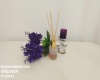 1 Bedroom Bedrooms, ,1 BathroomBathrooms,1 ห้องนอน,เช่า,12581