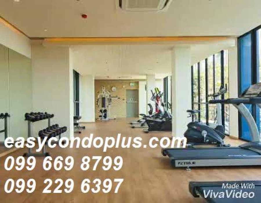 1 Bedroom Bedrooms, ,1 BathroomBathrooms,1 ห้องนอน,ขาย,1102