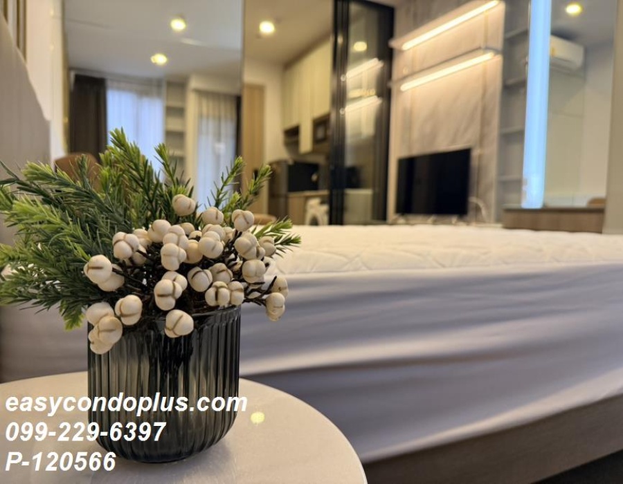 1 Bedroom Bedrooms, ,1 BathroomBathrooms,1 ห้องนอน,เช่า,13151