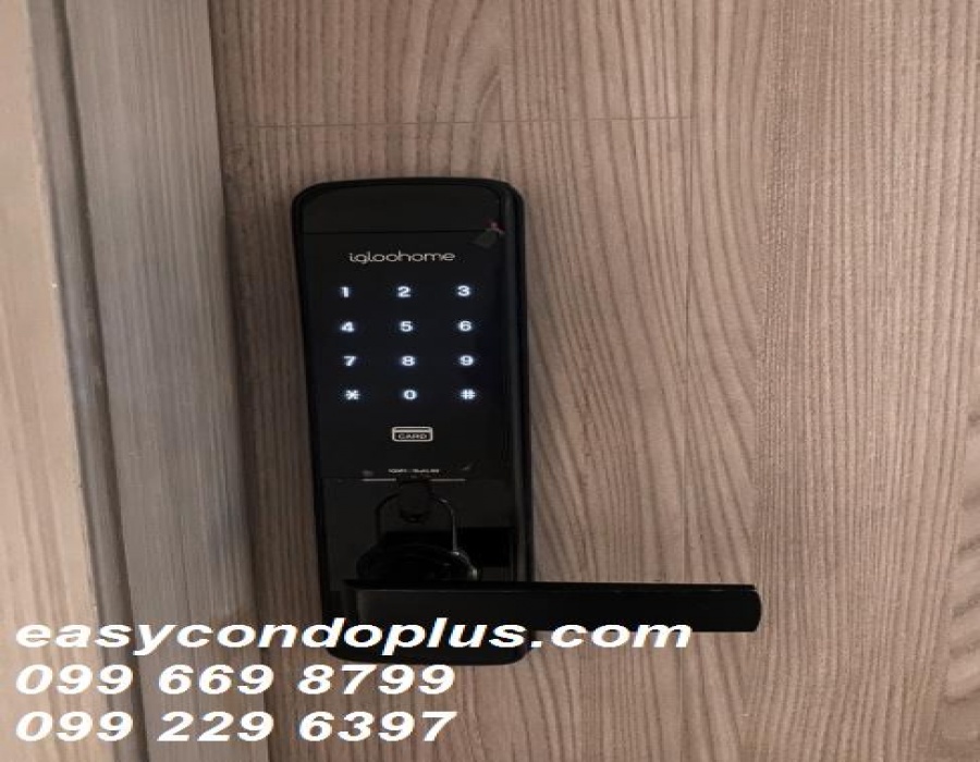 1 Bedroom Bedrooms, ,1 BathroomBathrooms,1 ห้องนอน,เช่า,2219