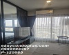 1 Bedroom Bedrooms, ,1 ห้องนอน,เช่า,13383