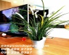 1 Bedroom Bedrooms, ,1 BathroomBathrooms,1 ห้องนอน,เช่า,2234