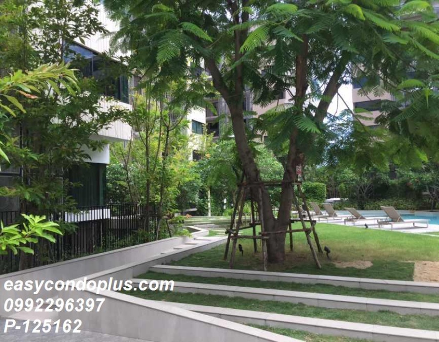 1 Bedroom Bedrooms, ,1 BathroomBathrooms,1 ห้องนอน,เช่า,13500