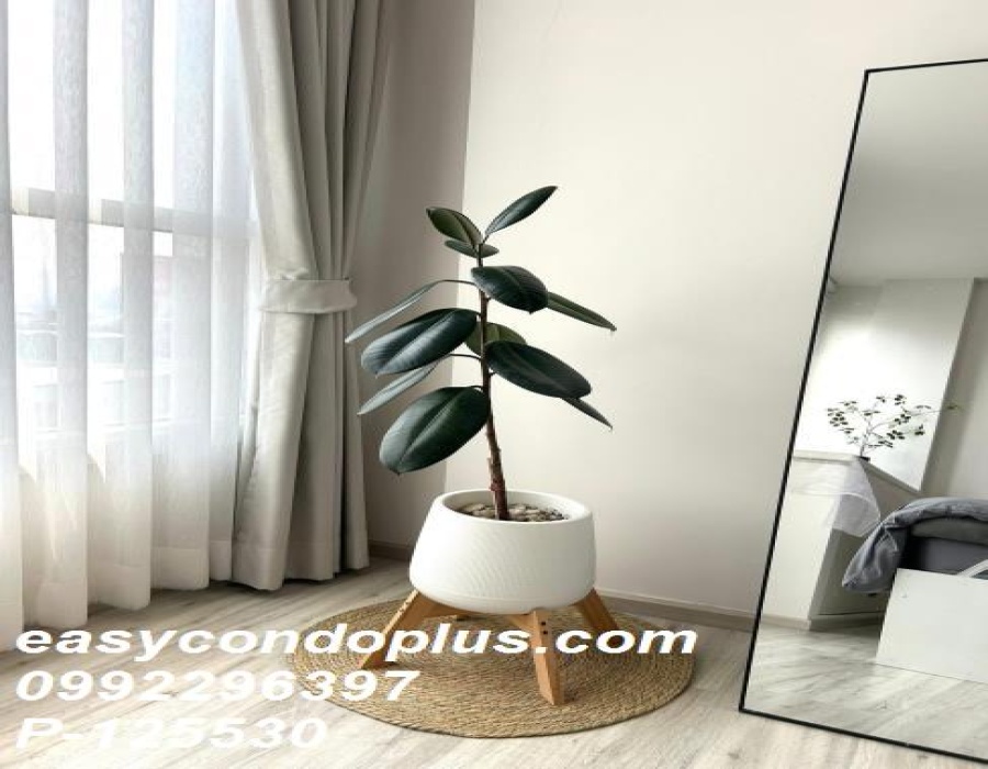 1 Bedroom Bedrooms, ,1 BathroomBathrooms,1 ห้องนอน,เช่า,13583