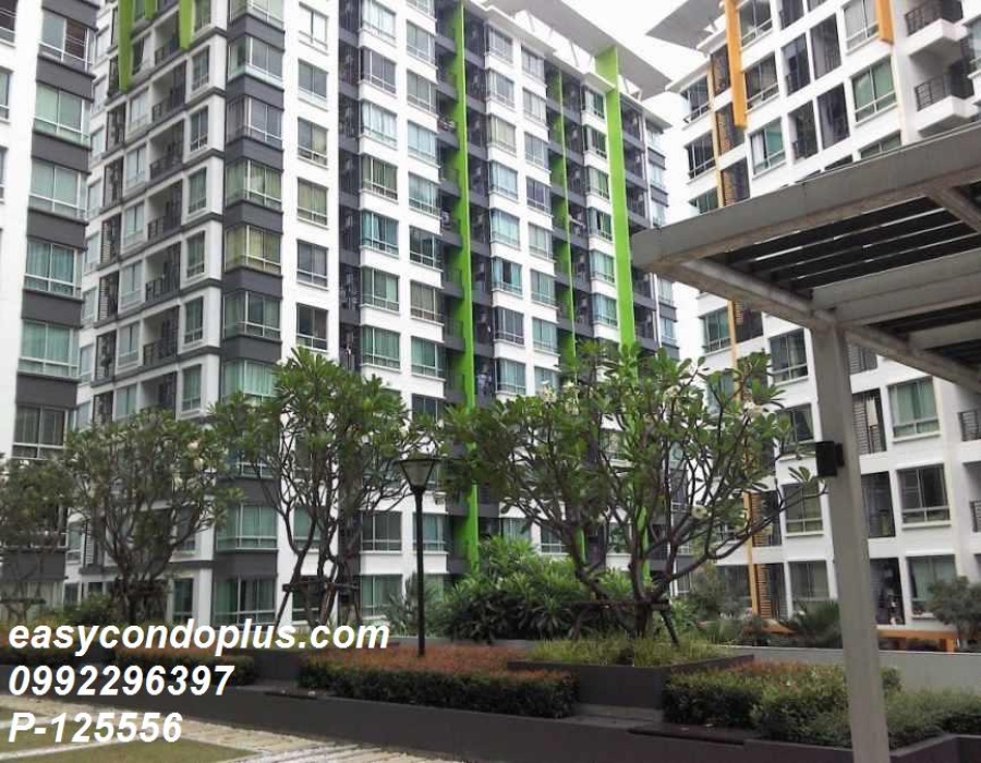 2 Bedrooms Bedrooms, ,1 BathroomBathrooms,2 ห้องนอน,เช่า,13594