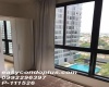 1 Bedroom Bedrooms, ,1 BathroomBathrooms,1 ห้องนอน,เช่า,13654