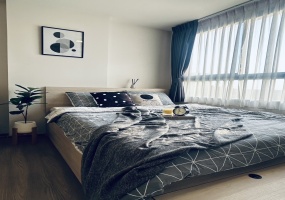 1 BathroomBathrooms,ห้องสตูดิโอ,เช่า,13740