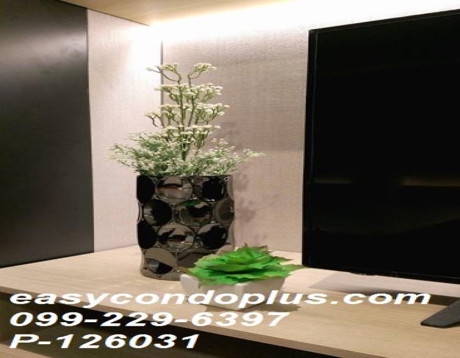 1 BathroomBathrooms,ห้องสตูดิโอ,เช่า,13756