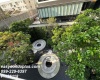 1 Bedroom Bedrooms, ,1 BathroomBathrooms,1 ห้องนอน,เช่า,13802