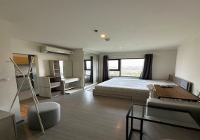 1 BathroomBathrooms,ห้องสตูดิโอ,เช่า,13803