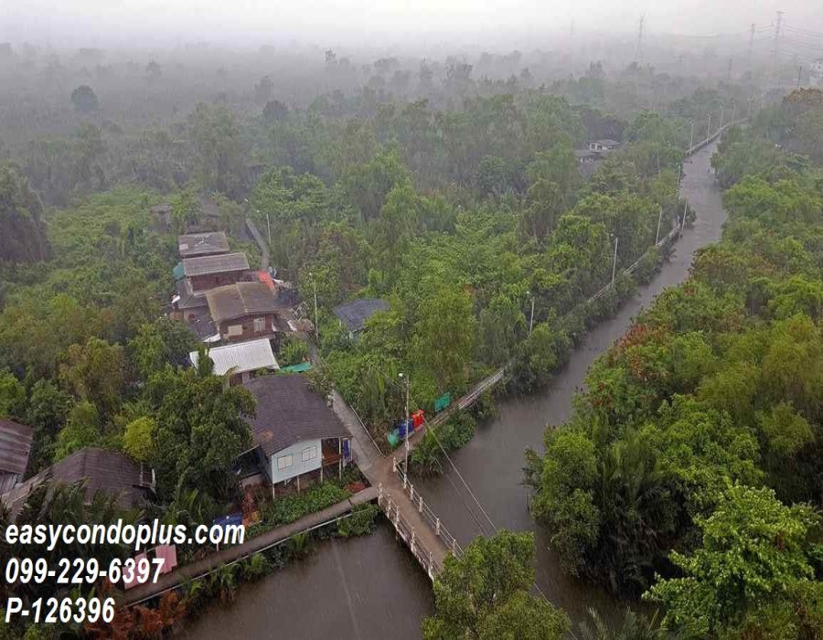 2 Bedrooms Bedrooms, ,1 BathroomBathrooms,2 ห้องนอน,เช่า,13873