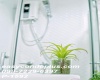 2 Bedrooms Bedrooms, ,1 BathroomBathrooms,2 ห้องนอน,เช่า,14088