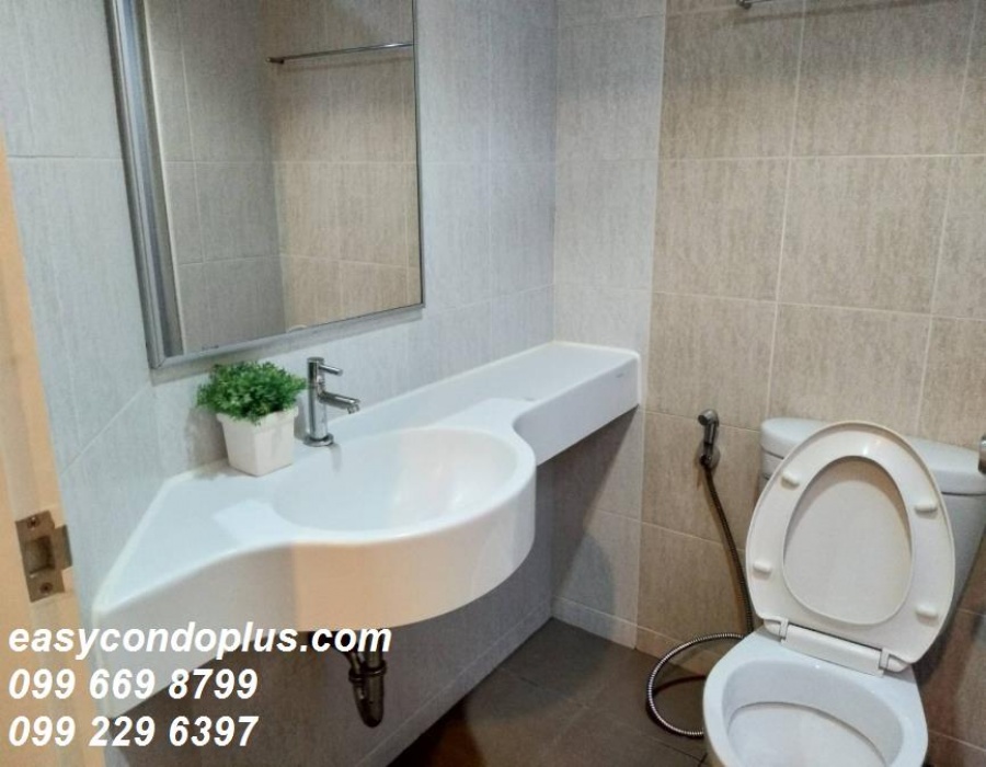 1 Bedroom Bedrooms, ,1 BathroomBathrooms,1 ห้องนอน,เช่า,2455