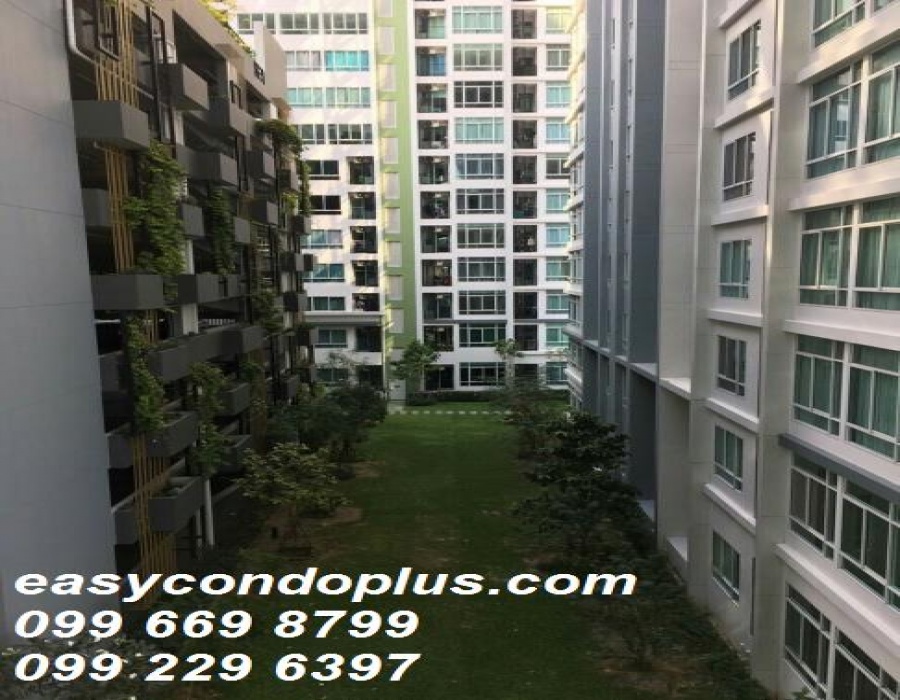 1 Bedroom Bedrooms, ,1 BathroomBathrooms,1 ห้องนอน,เช่า,2479