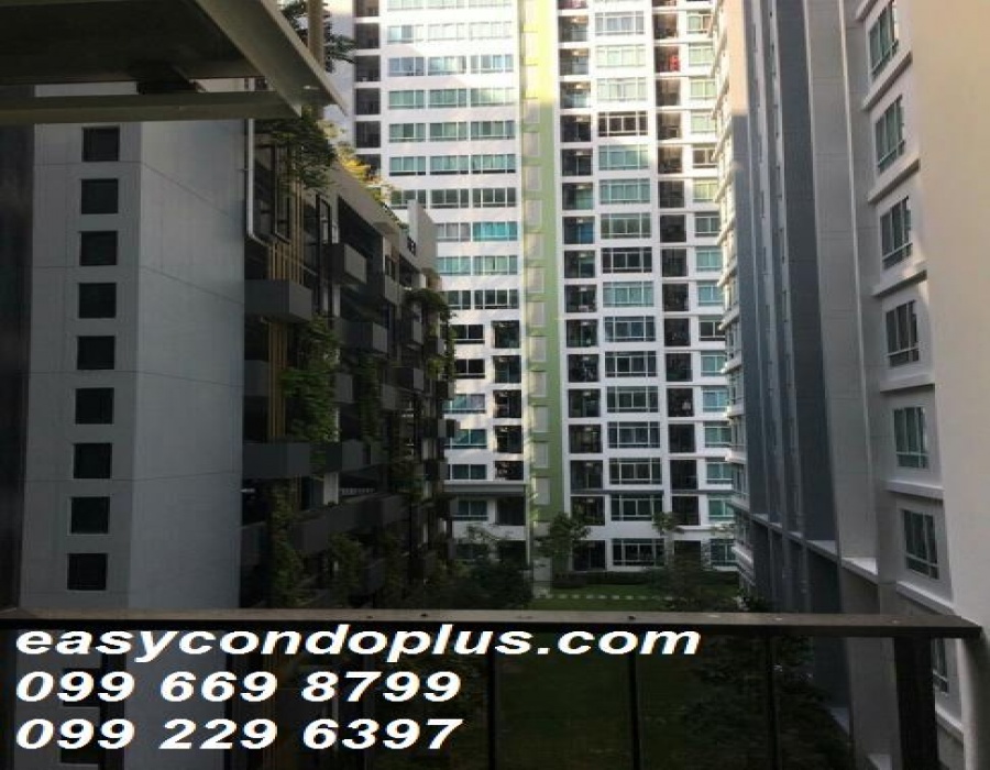 1 Bedroom Bedrooms, ,1 BathroomBathrooms,1 ห้องนอน,เช่า,2479