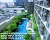 2 Bedrooms Bedrooms, ,2 BathroomsBathrooms,2 ห้องนอน,ขาย,2611