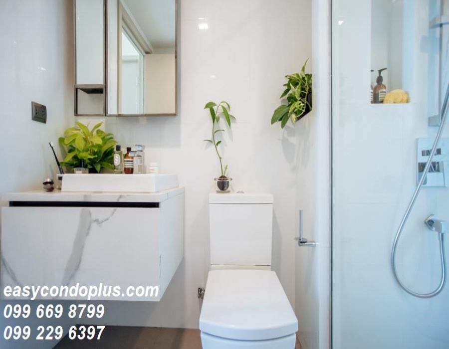 1 BathroomBathrooms,ห้องสตูดิโอ,เช่า,2950