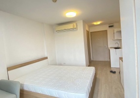 1 BathroomBathrooms,ห้องสตูดิโอ,เช่า,3005