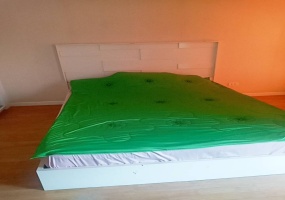 1 Bedroom Bedrooms, ,1 BathroomBathrooms,1 ห้องนอน,ขาย,3121