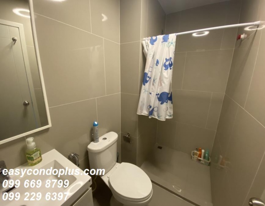 1 BathroomBathrooms,ห้องสตูดิโอ,เช่า,1260