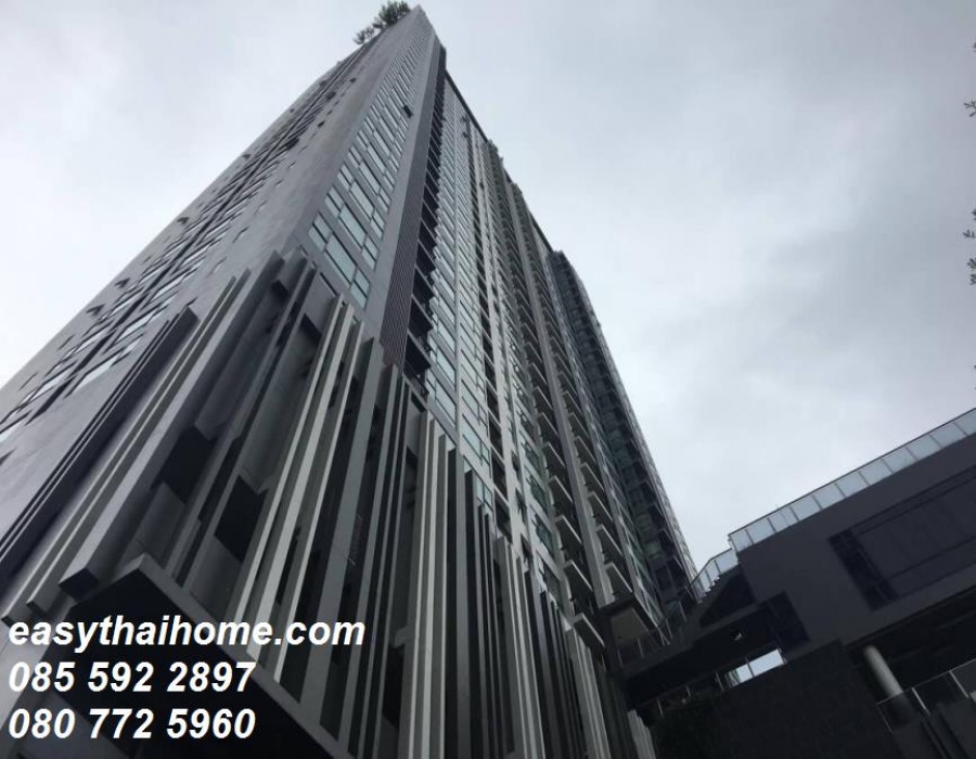 1 Bedroom Bedrooms, ,1 BathroomBathrooms,1 ห้องนอน,ขาย,1342