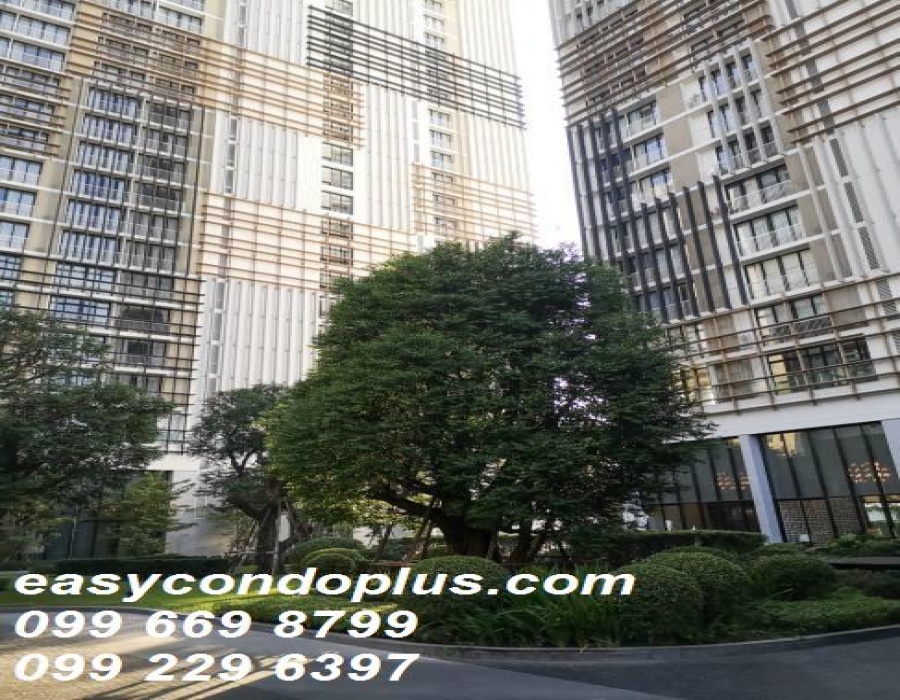 1 Bedroom Bedrooms, ,1 BathroomBathrooms,1 ห้องนอน,ขาย,1469
