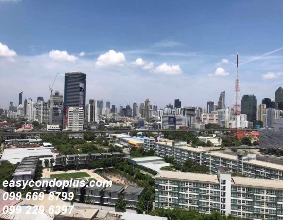 1 Bedroom Bedrooms, ,1 BathroomBathrooms,1 ห้องนอน,ขาย,1502