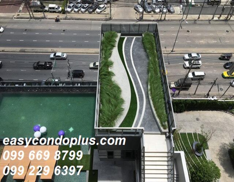 1 Bedroom Bedrooms, ,1 BathroomBathrooms,1 ห้องนอน,ขาย,1558