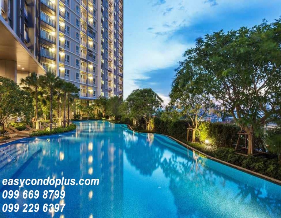 2 Bedrooms Bedrooms, ,2 BathroomsBathrooms,2 ห้องนอน,ขาย,1561