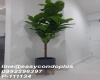2 Bedrooms Bedrooms, ,1 BathroomBathrooms,2 ห้องนอน,ขาย,8690
