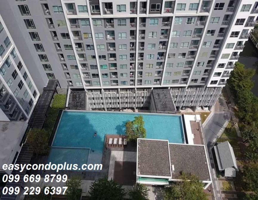 1 Bedroom Bedrooms, ,1 BathroomBathrooms,1 ห้องนอน,ขาย,1793