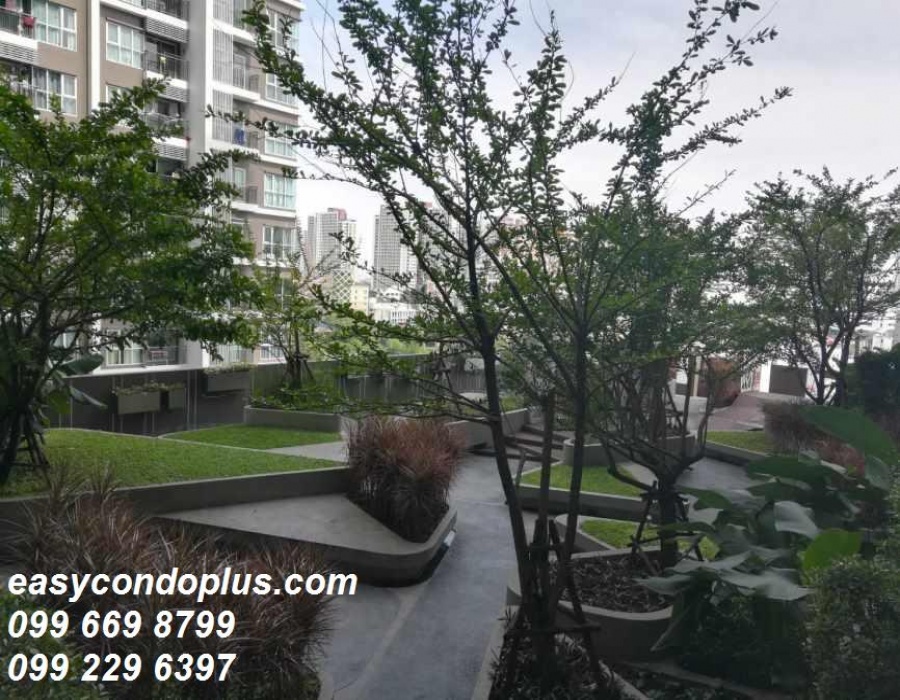 1 Bedroom Bedrooms, ,1 BathroomBathrooms,1 ห้องนอน,ขาย,1810