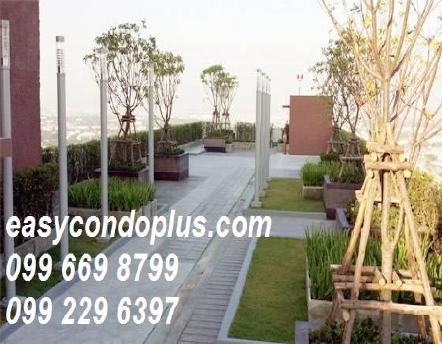 1 Bedroom Bedrooms, ,1 BathroomBathrooms,1 ห้องนอน,ขาย,1079
